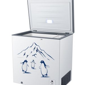 Hisense 300L Chest Freezer (FC326D4BWYS)