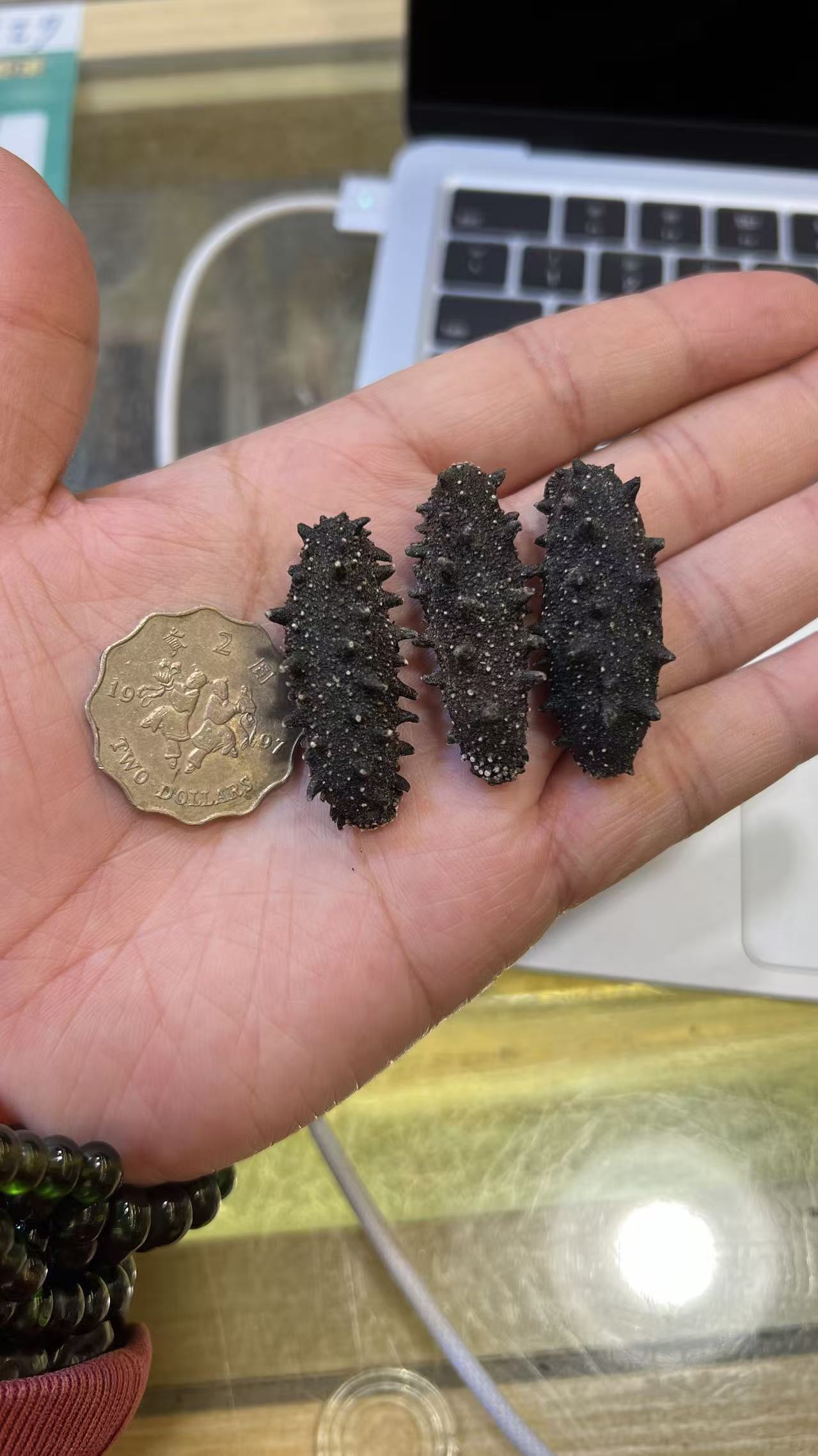 日本野生北海道刺參120条（標準產）