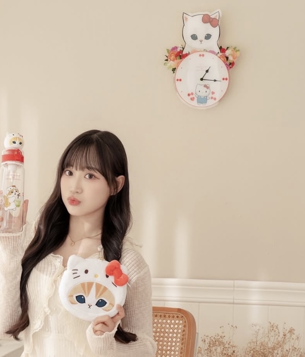 🇹🇼台灣直送🇹🇼 Hello Kitty x Mofusand限定 靜音掛牆鐘