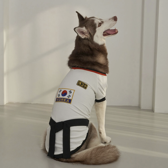 *SuperPet 🇰🇷 寵物跆拳道服（DG192）
