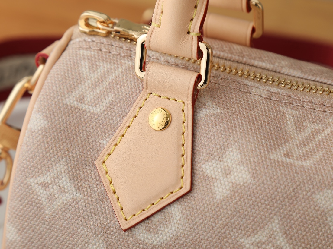 LV Louis Vuitton Speedy Bandouliere 20