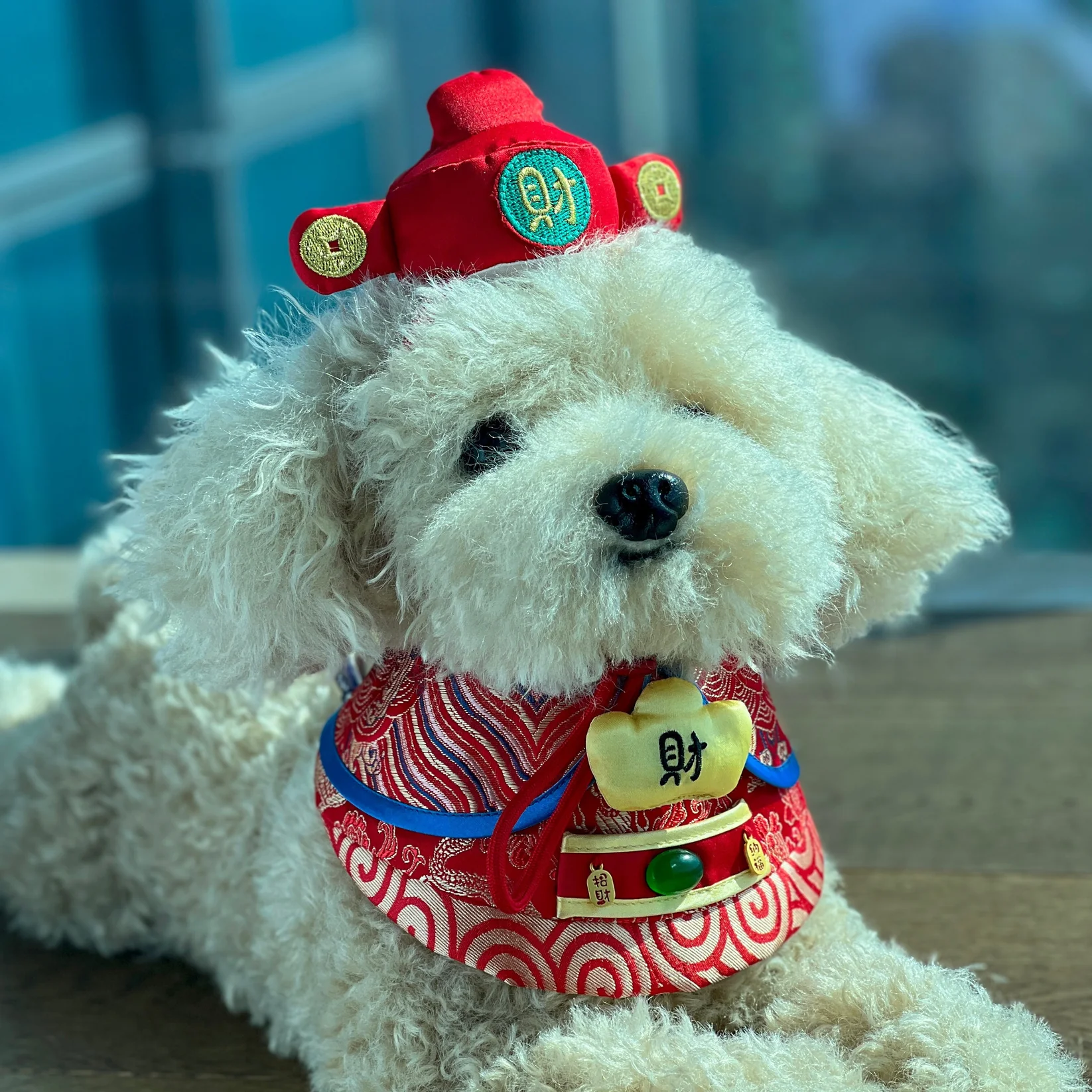 MOMOJI God of Wealth 財神