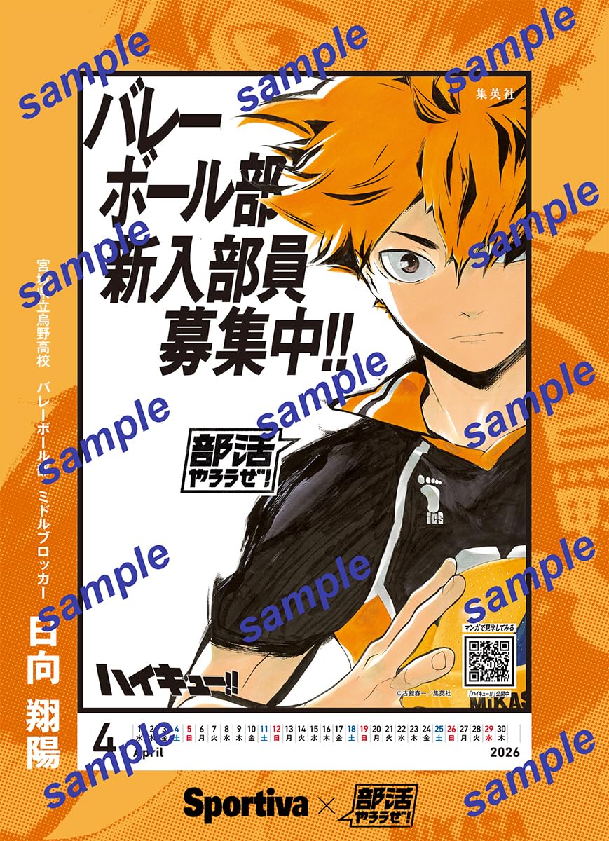 排球少年部活文件夾SET｜Sportiva 部活特集號