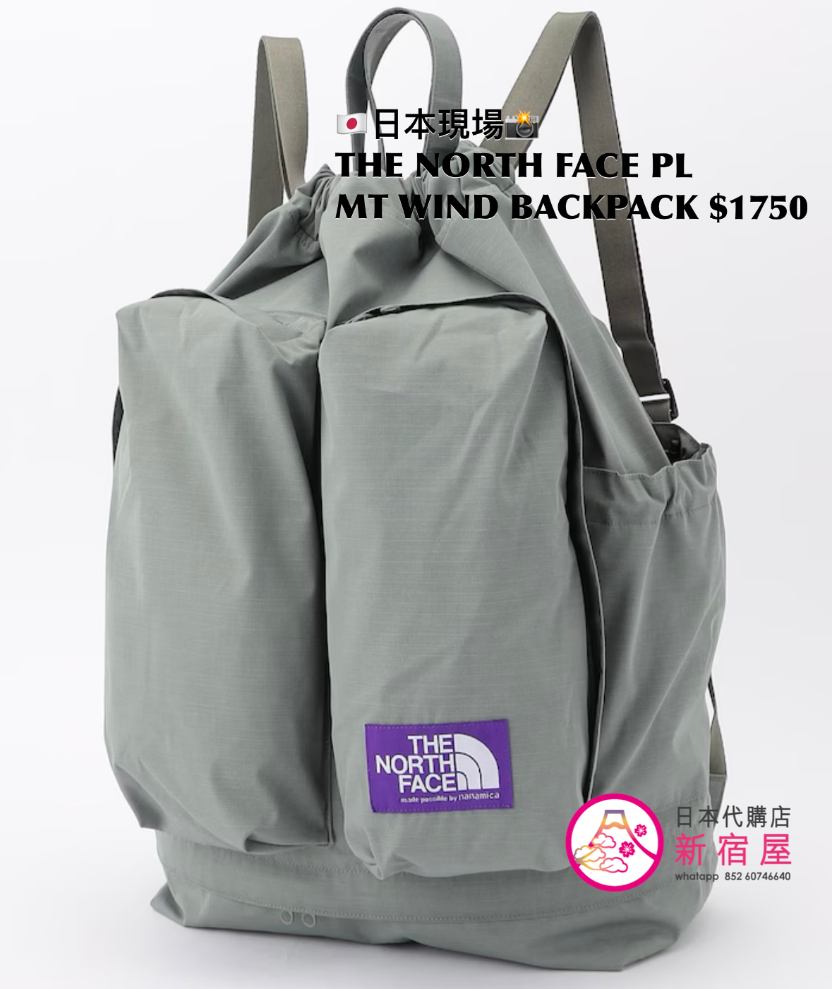 THE NORTH FACE PURPLE LABEL MOUNTAIN WIND BACKPACK 