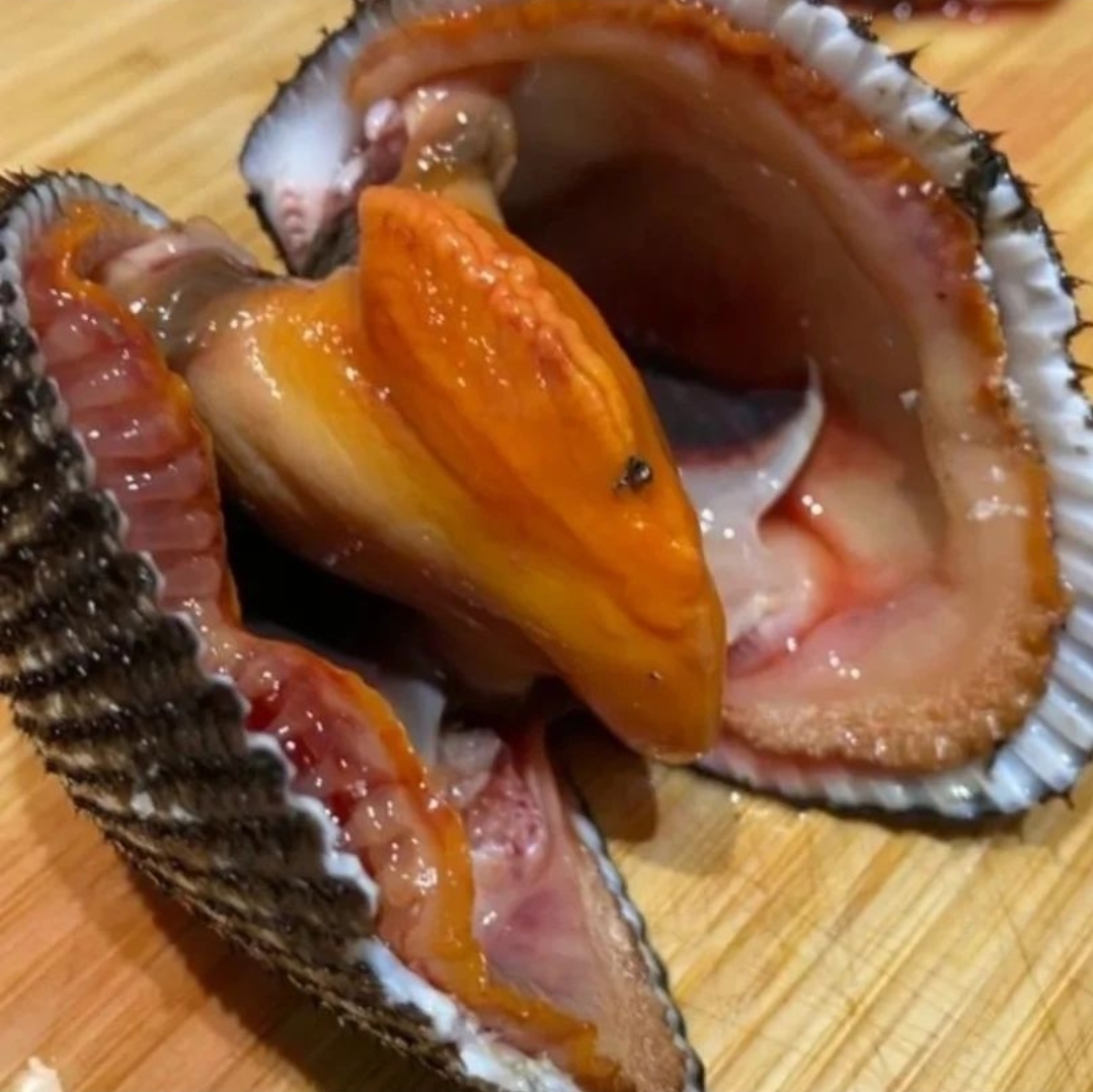 🇰🇷 韓國活赤貝 刺身級別🐚🍣🍶 需自行處理🔪