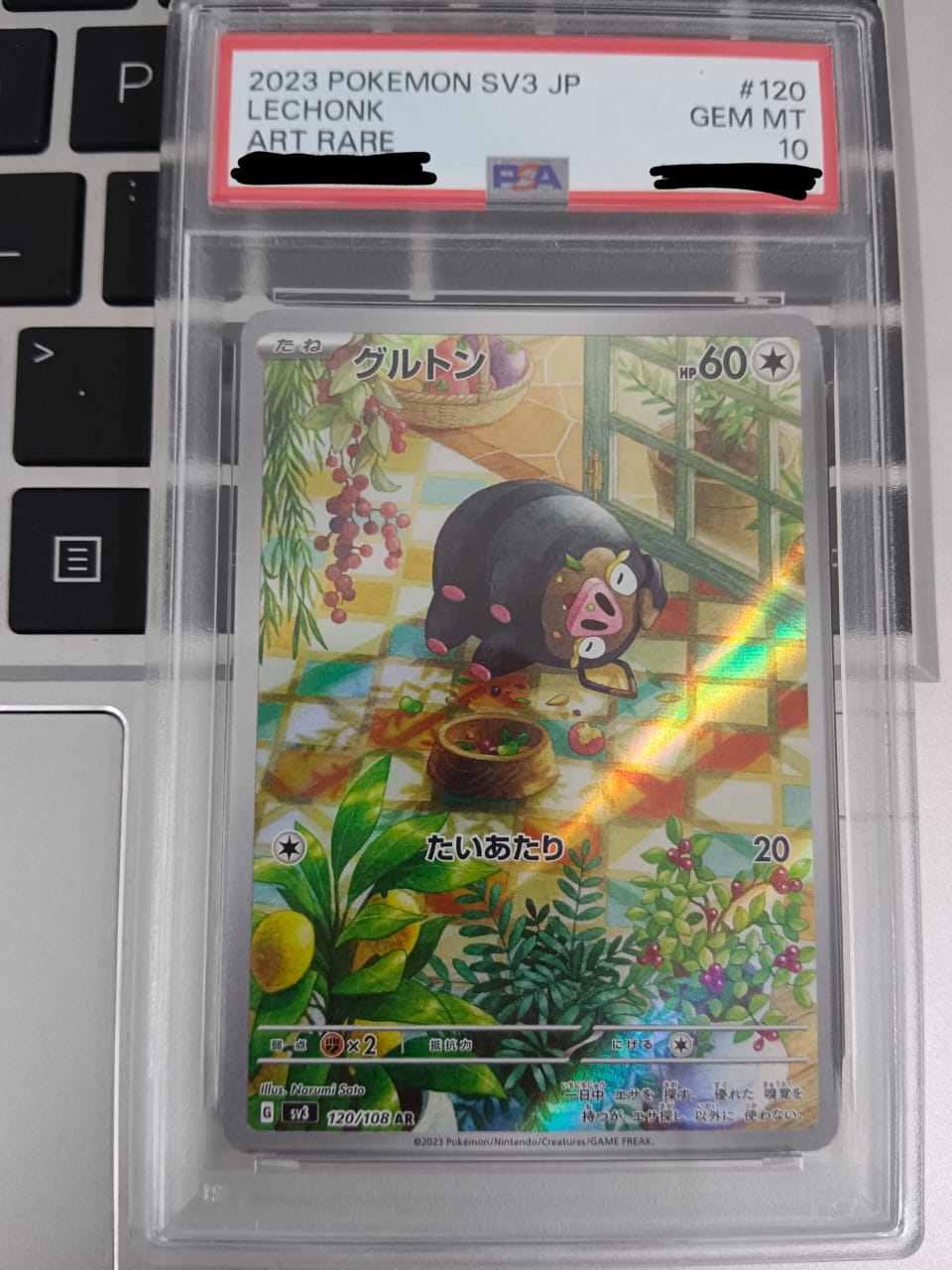 Pokemon TCG Japanese Version Slab Card - Lechonk-120/108 (PSA10)