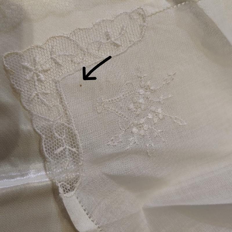 Vintage Made in Switzerland Hand Embroidered Handkerchief (EX020)