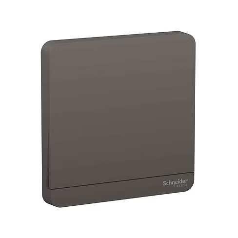 施耐德 AvatarOn 石墨灰 十字掣 開關掣