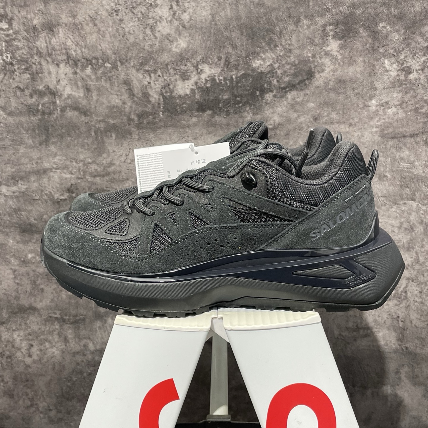 Salomon Odyssey Elmt Low 