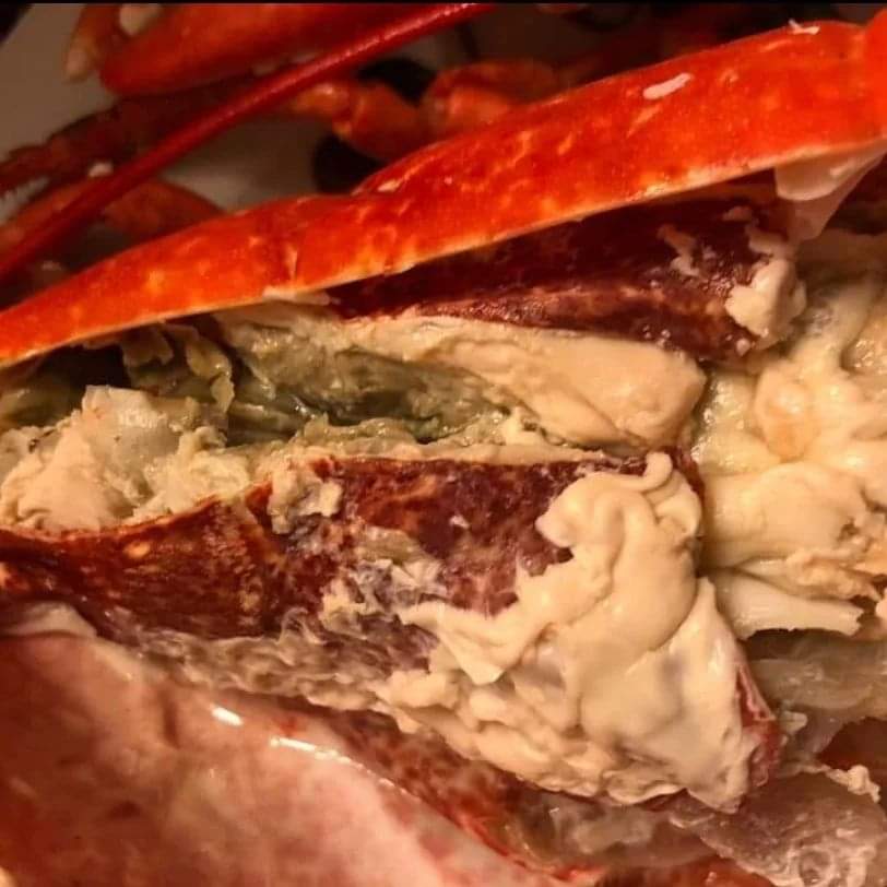 🇬🇧 生猛超甜有膏英國藍龍蝦🦞 10両至3.5斤/隻