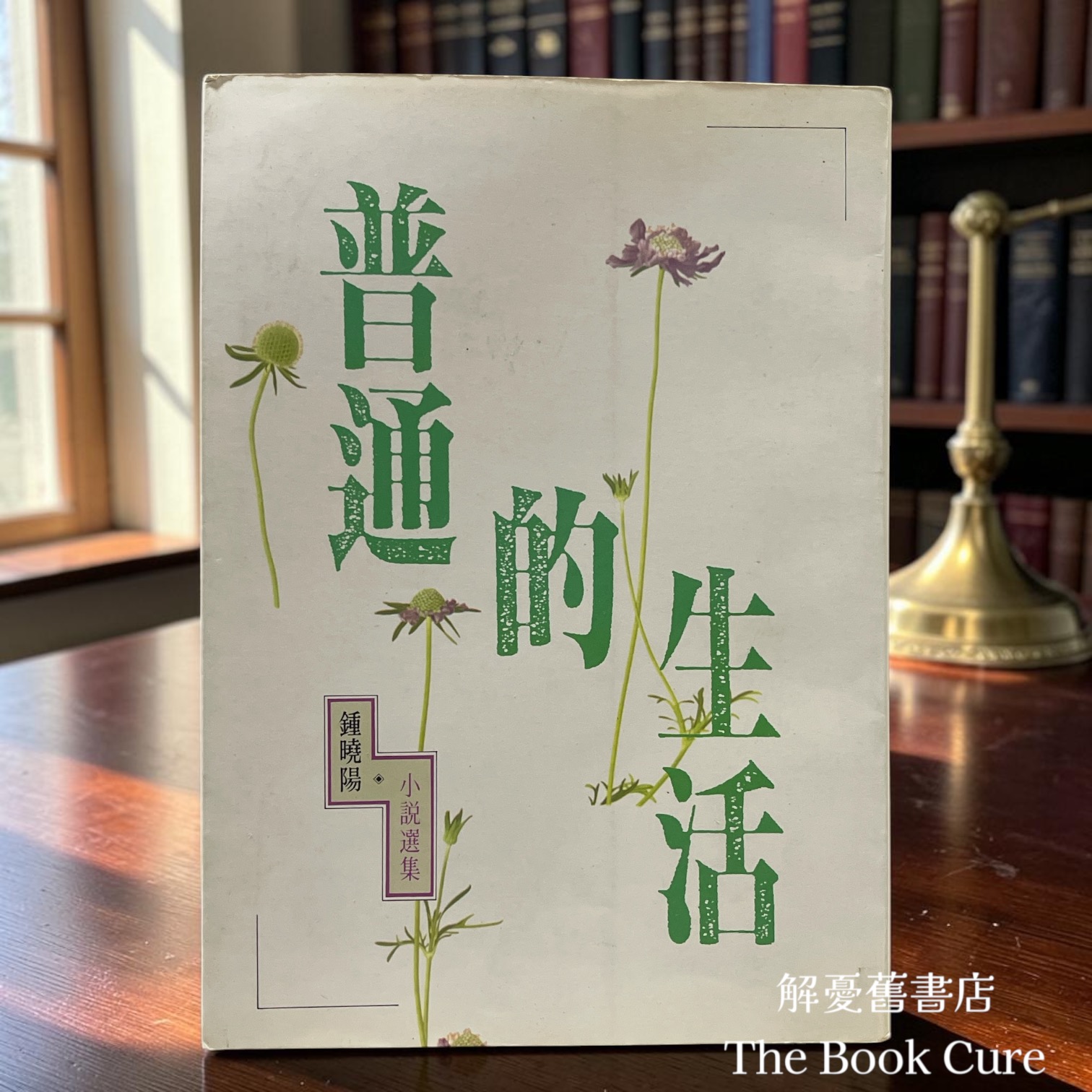 普通的生活 / 鍾曉陽 著