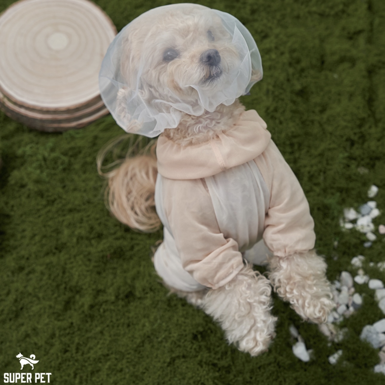 *Super Pet 🇰🇷 狗狗防護面罩 (DG427)