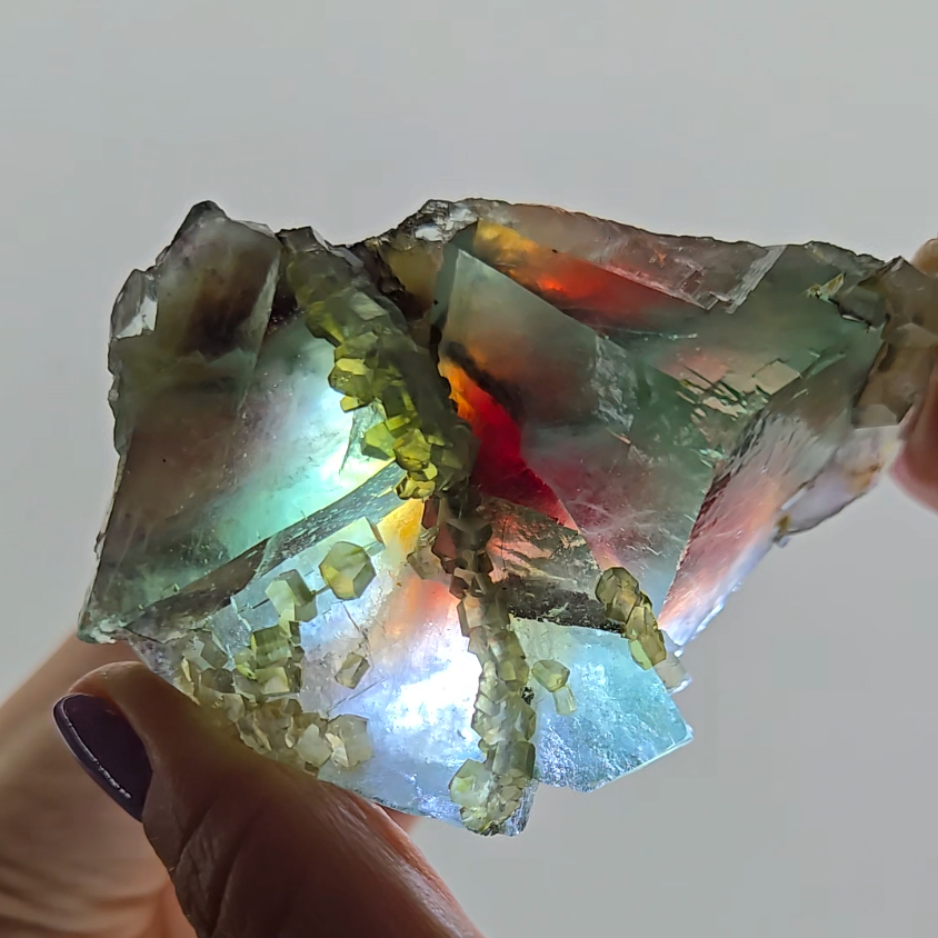 Red phantom fluorite with columnar calcite - FL227