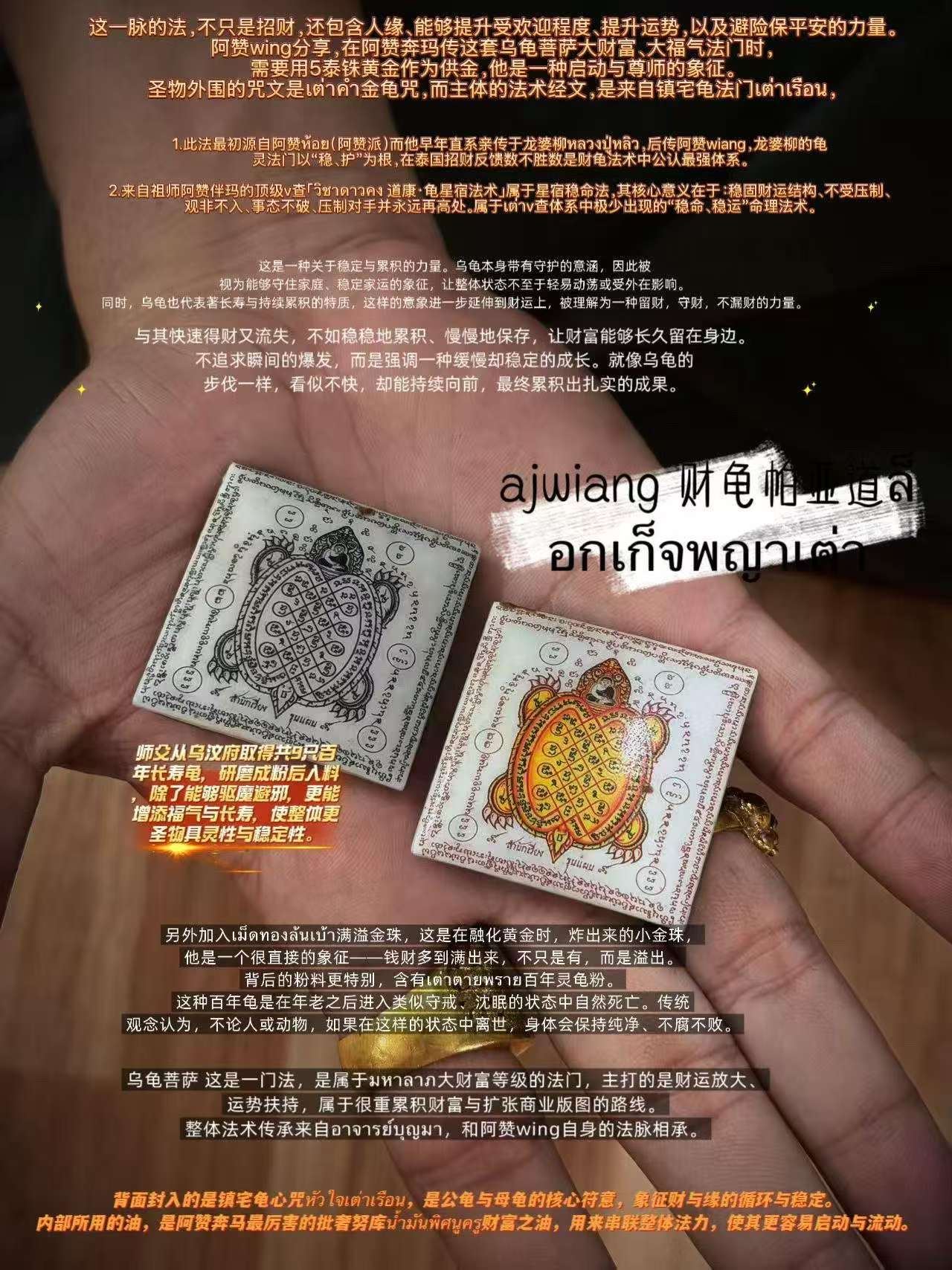 AJwiang 財龜帕亞道ล็อกเก็จพญาเต่า 包防水殼
