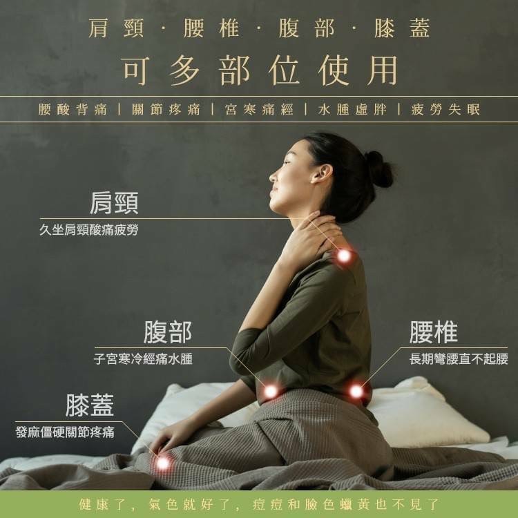台灣淨森堂-溫感艾灸貼 10片入