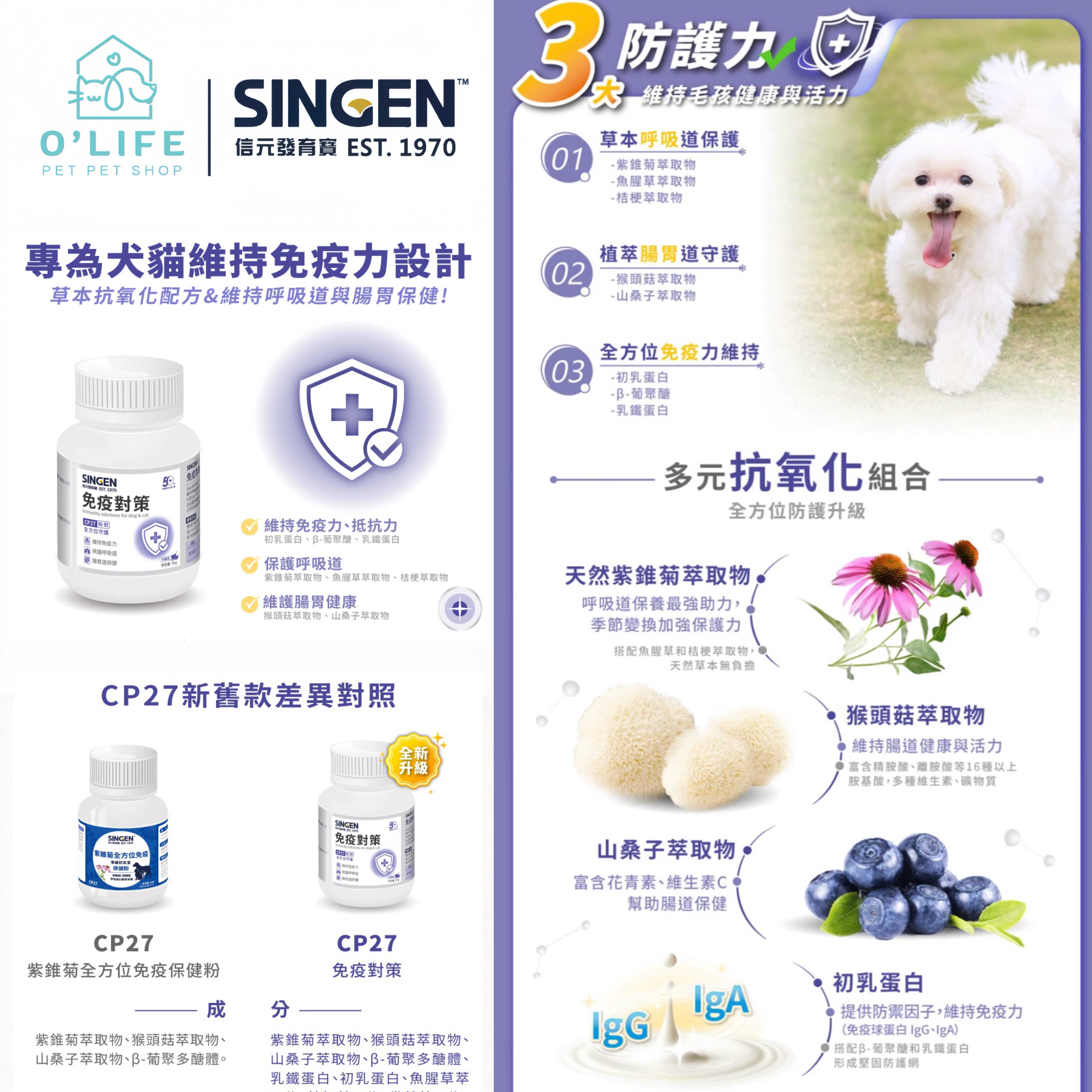 O’Life x 信元 犬貓用 紫錐菊全方位免疫保健粉｜呼吸道&腸胃保健 💟 50g/罐