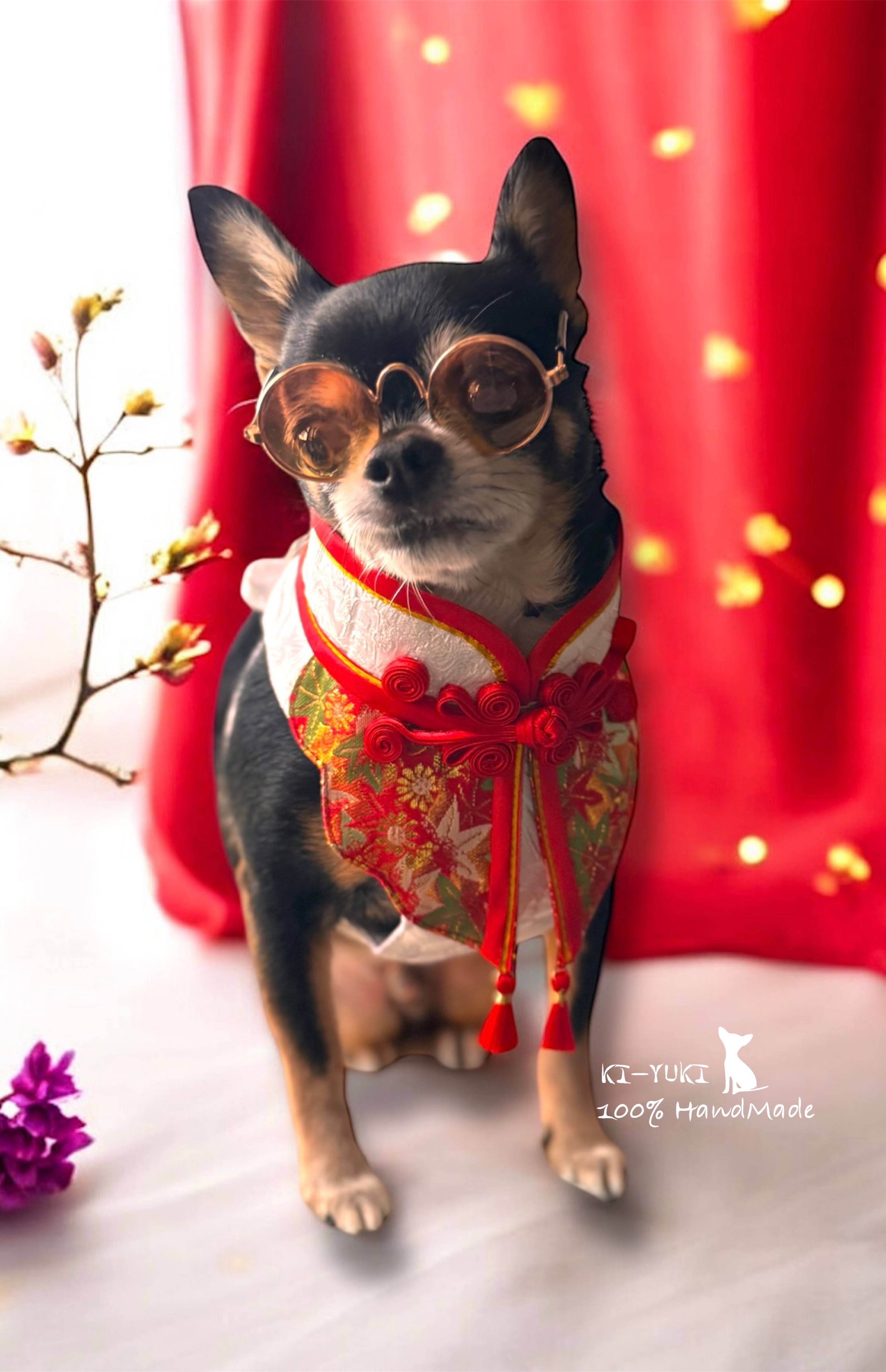 2026賀歲新品 寵物外出胸背帶