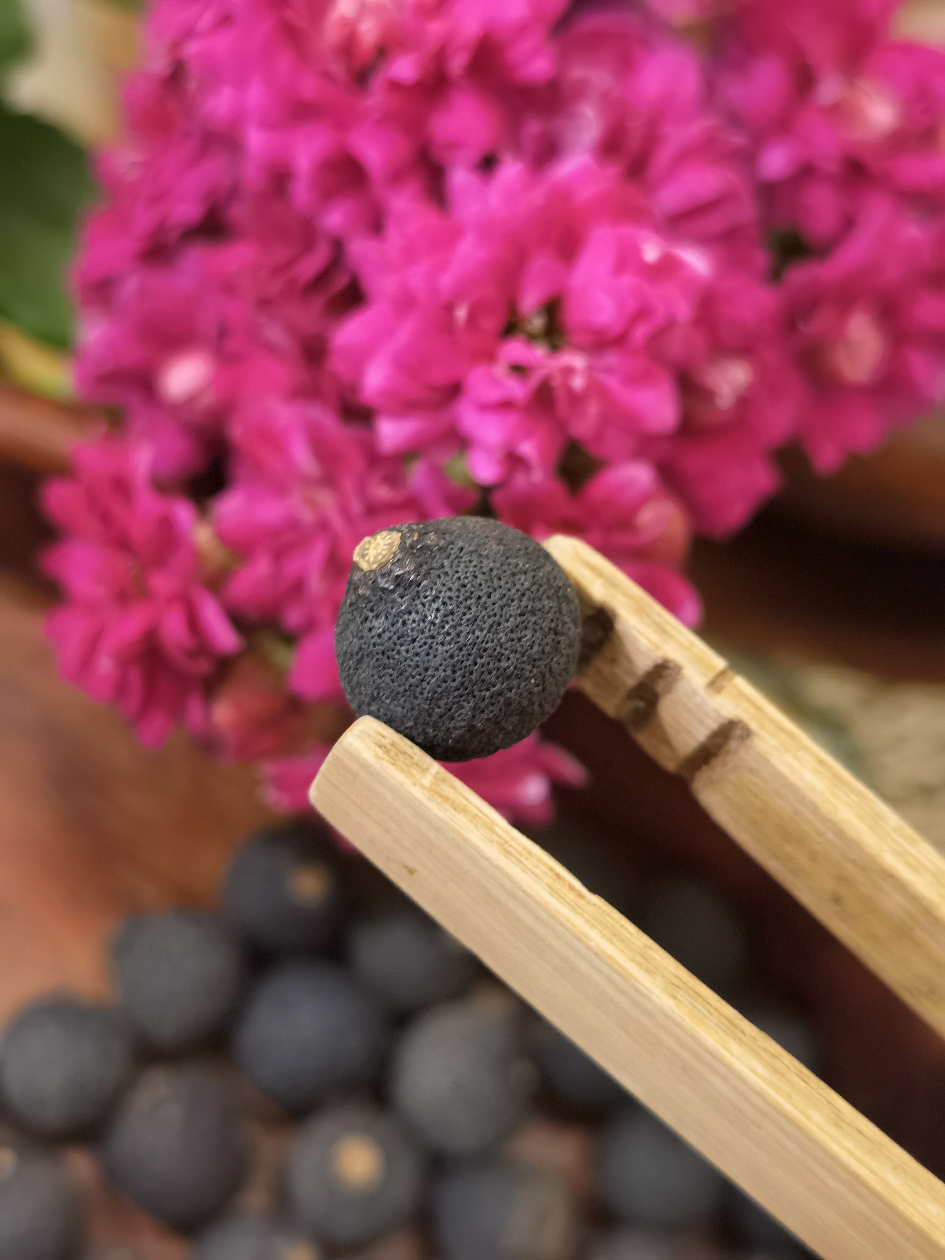  2018年 天馬胎柑- #10號果 (BB果) -<有需要請聯絡我們 852-6329 6186>