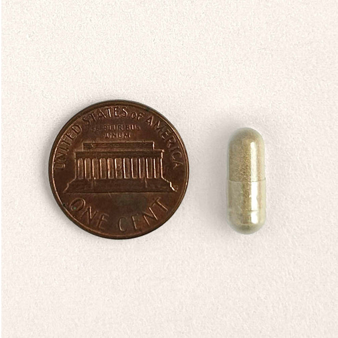 AnimalBiome : Gut Restore for Cats [最新存貨情況請參閱下列商品介紹]