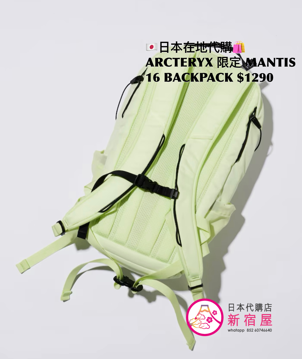 ARCTERYX 限定 MANTIS 16 BACKPACK