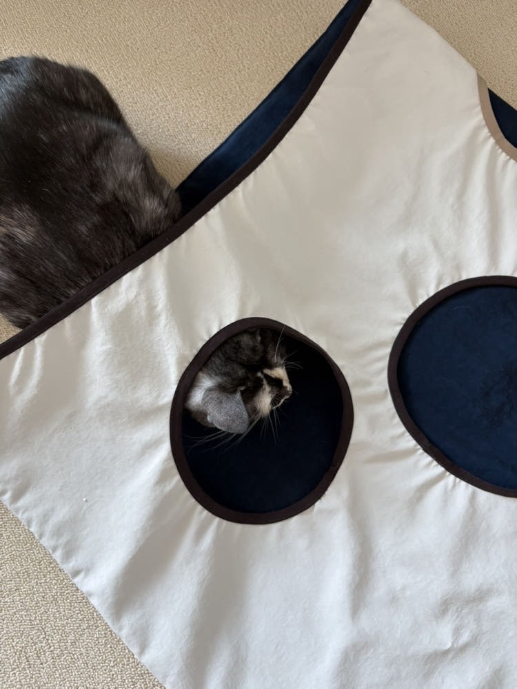 OMU 高質感貓隧道