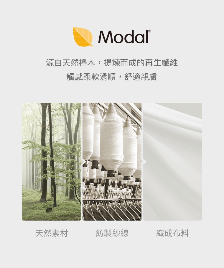 預購 miffy TW 蕾絲內褲 3色入