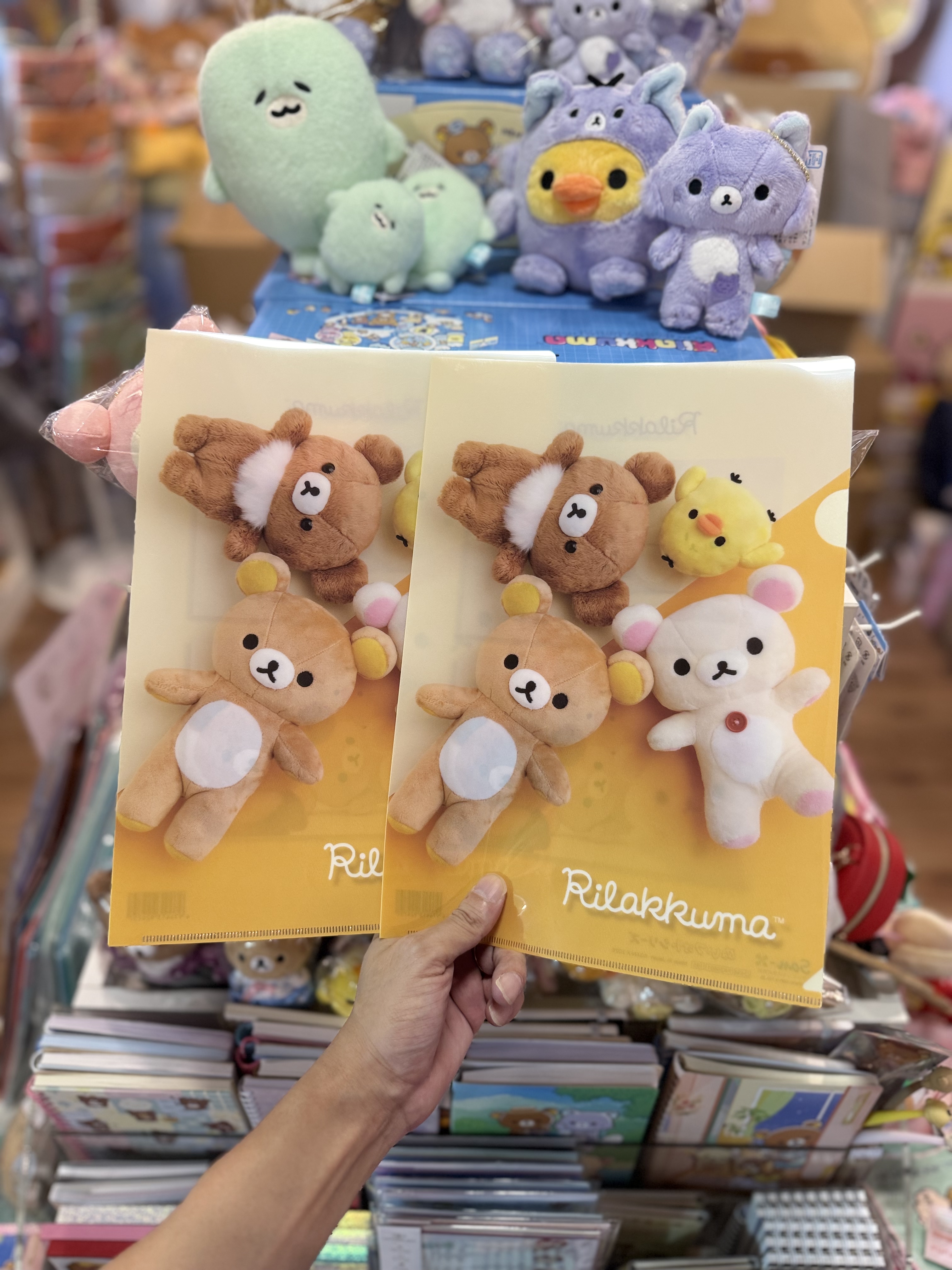 《現貨》全新rilakkuma寫真系列A4 file