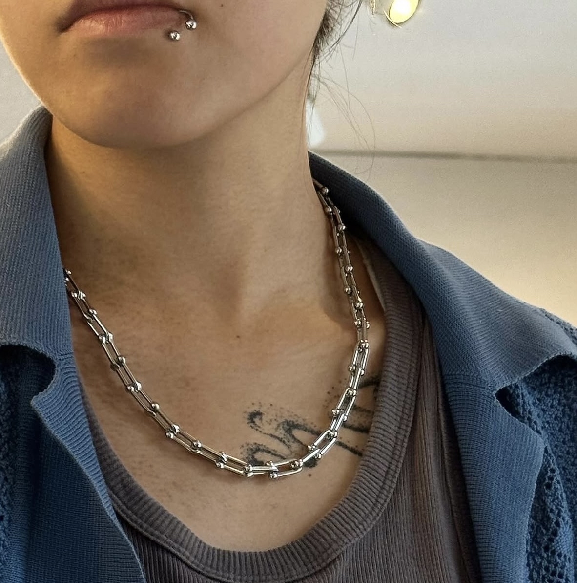 Mollive STAINLESS STEEL LINK NECKLACE Pre Order~