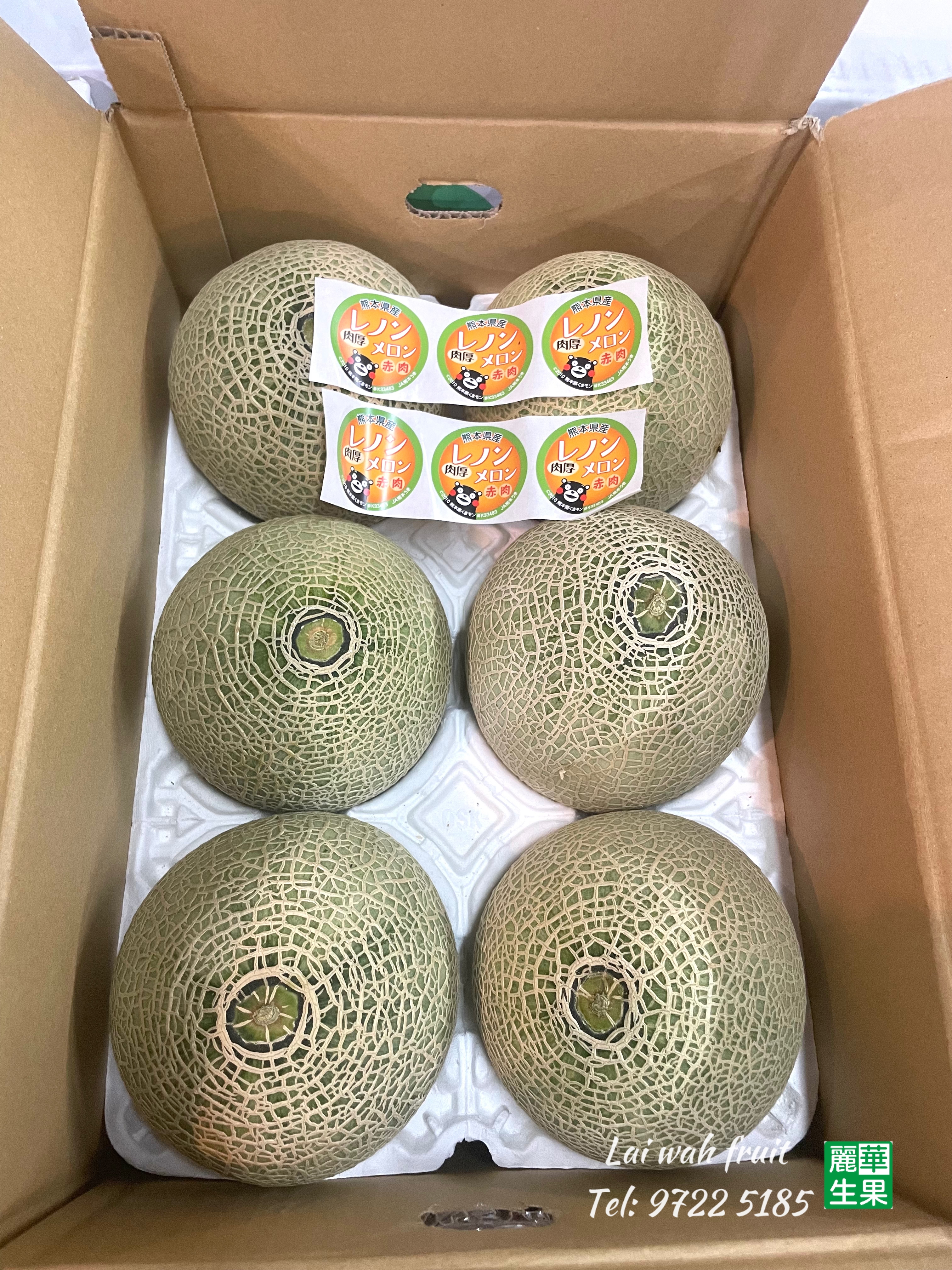 【🇯🇵🐻熊本赤肉蜜瓜🍈 】中型size(約1kg) 