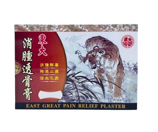 東大消腫透骨膏 5片