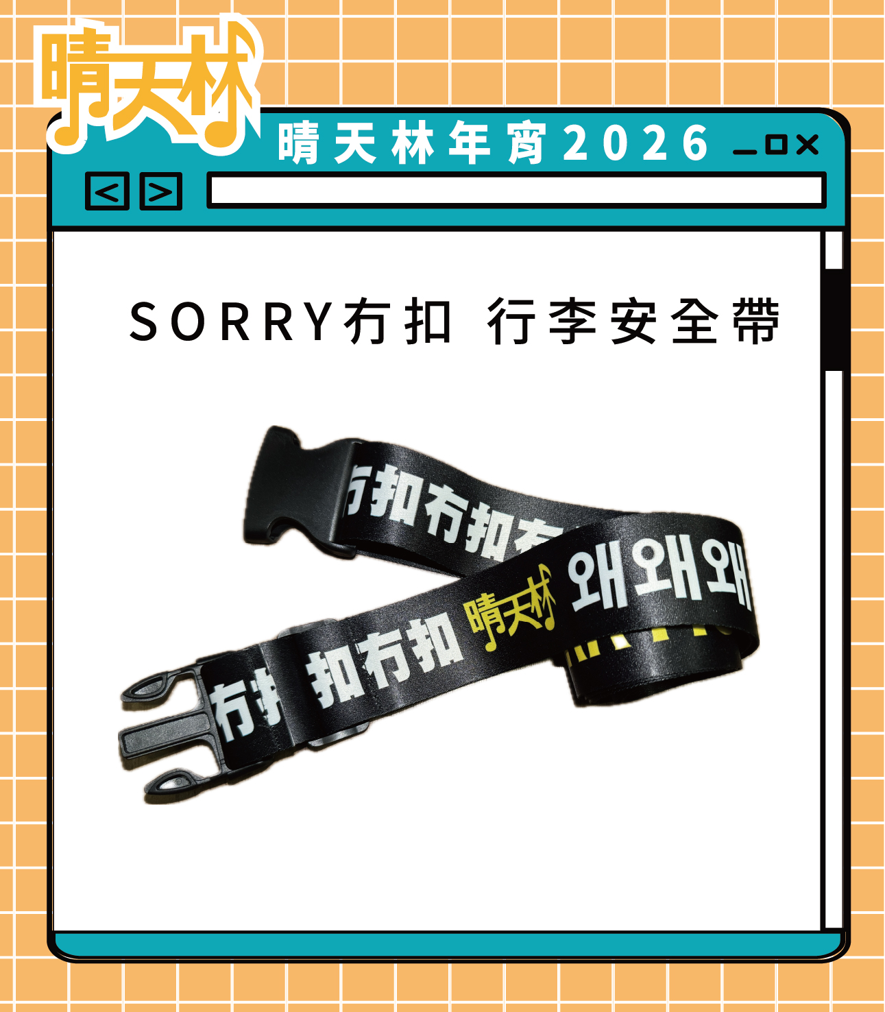 SORRY！冇扣 行李安全帶