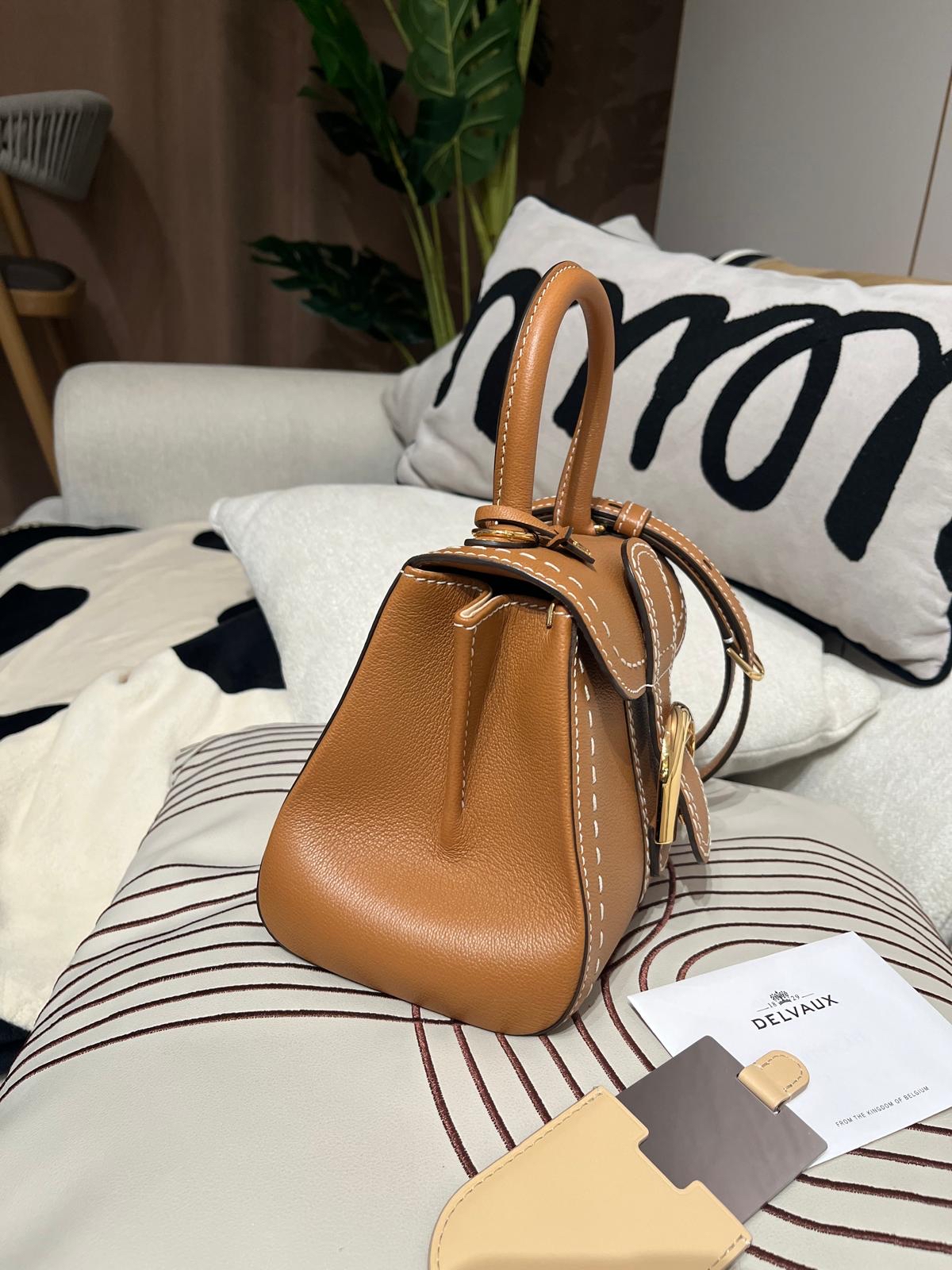Delvaux brillant mini rodeo calfskin 📣專門店售價$58800📣 100%Authentic ,98%new  ✅塵袋✅鏡✅證書✅背帶✅代購收據
