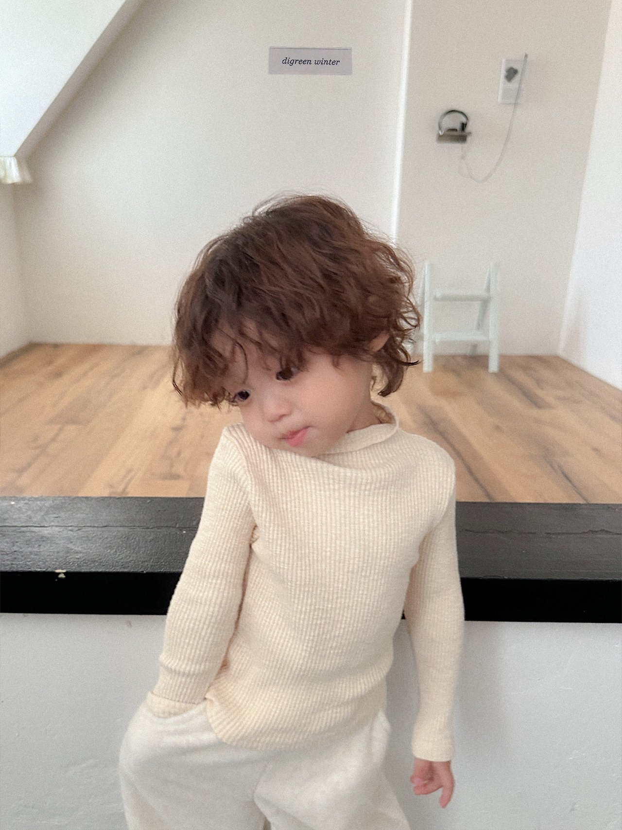 Digreen | Taupe Turtle-neck Tee 