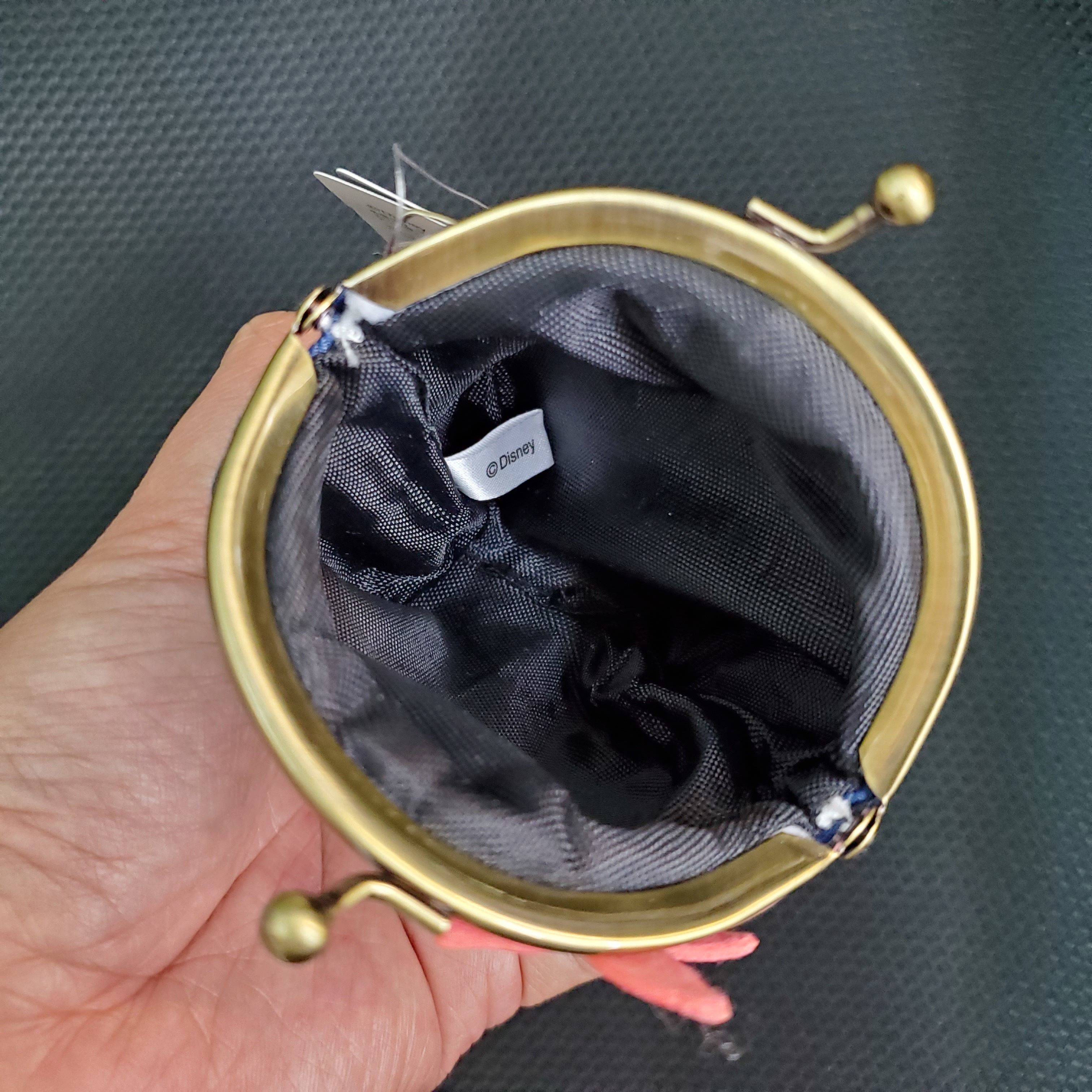 [現貨] [日本直送] 小魚仙散子包 {TF103499}