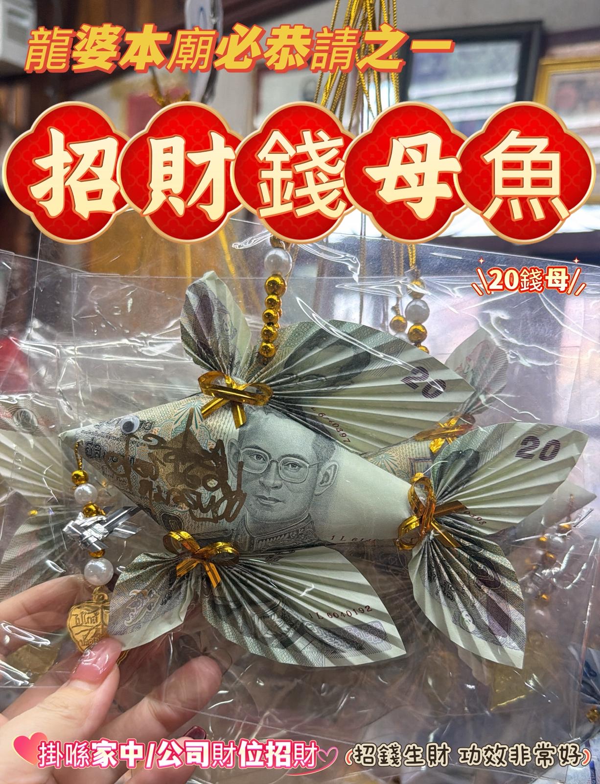 ✴️龍婆本廟供請✴️ 招財錢母魚✨