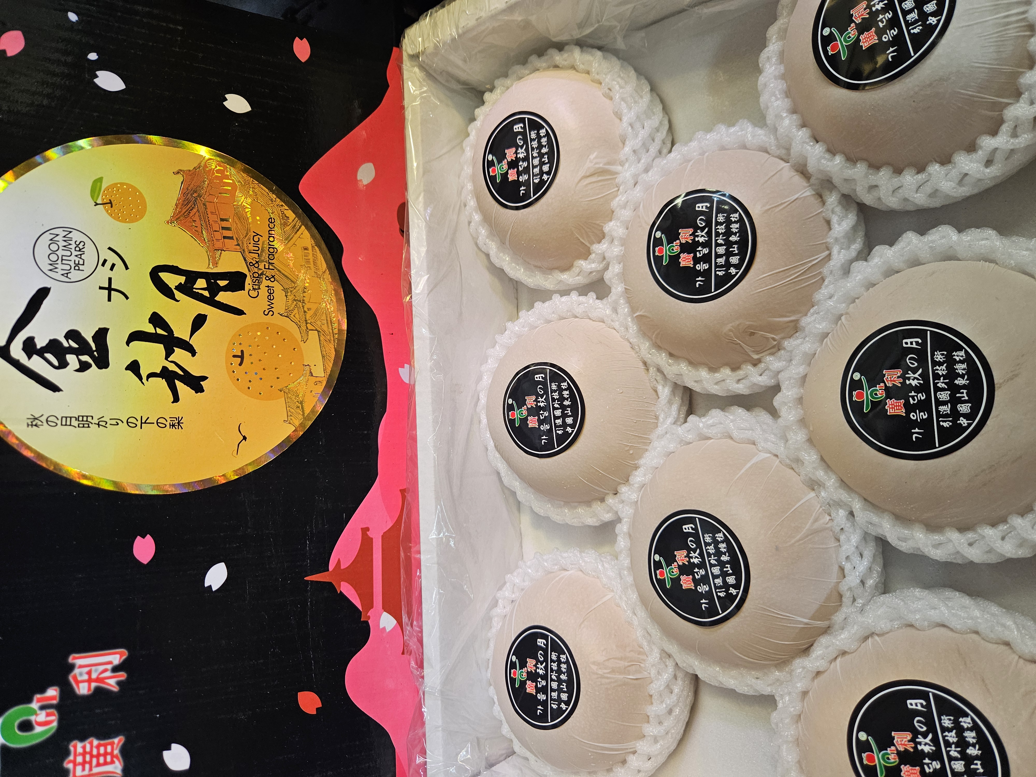 冰糖秋月梨 每份两個