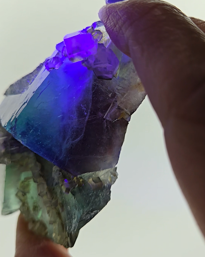 Red phantom fluorite with columnar calcite - FL227