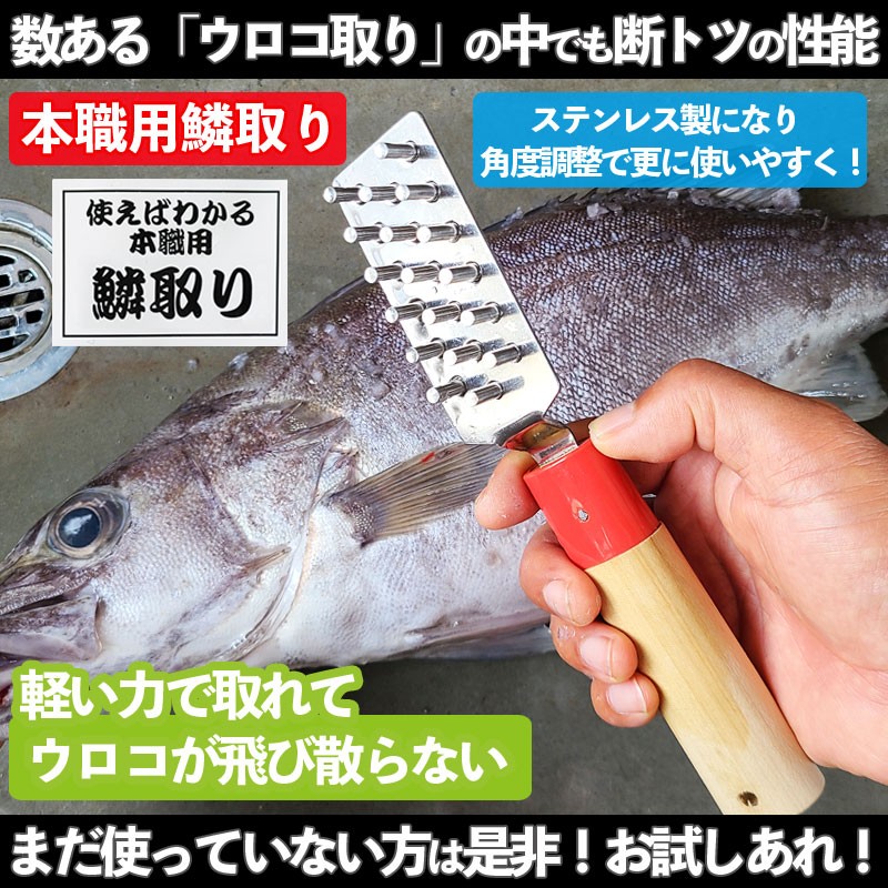 【現貨】🔥🔥【日本製《石本專業》專業級防噴濺刮鱗器】