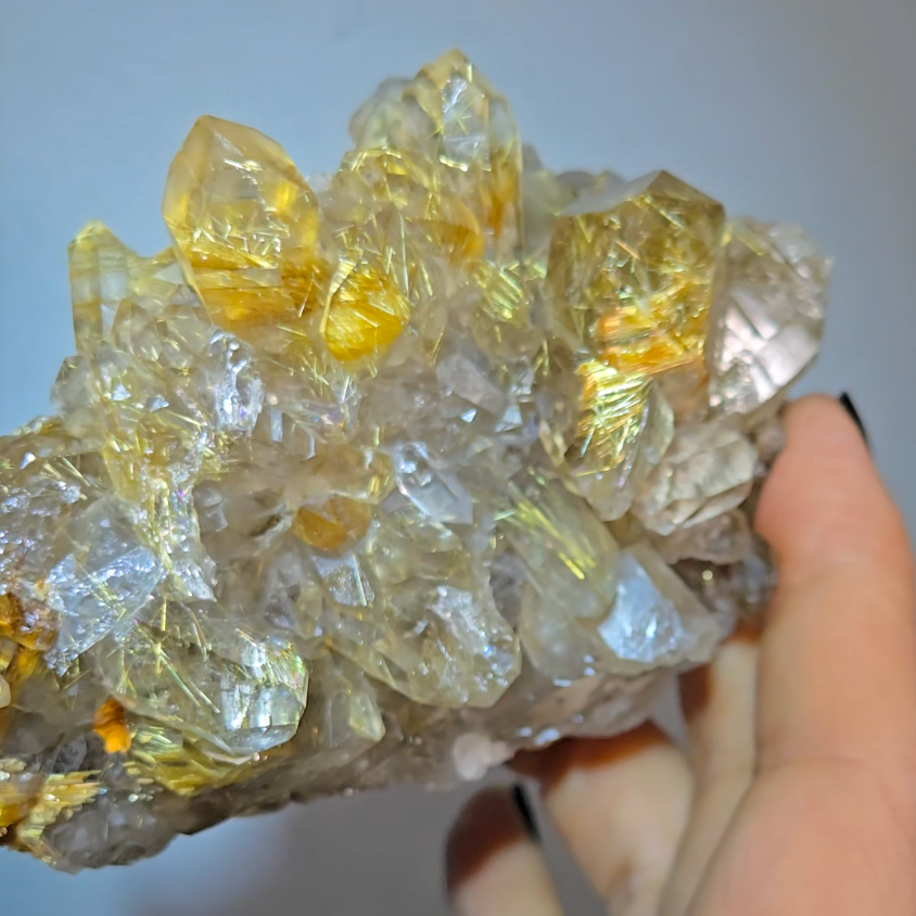 High-grade golden starburst rutiles on black hematite in quartz - RT1434