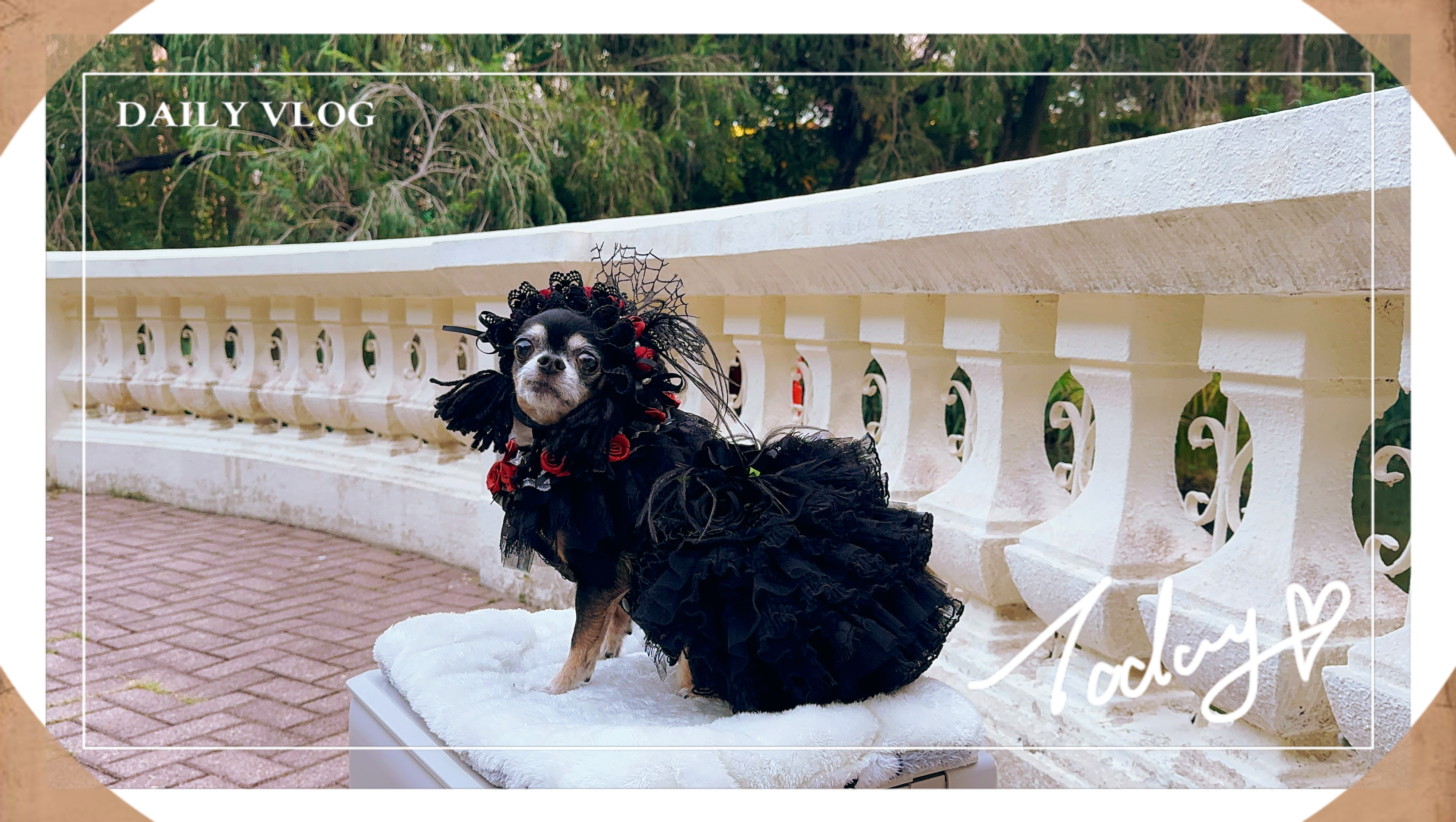 原創設計 暗黑者系列小禮服款&胸背帶款