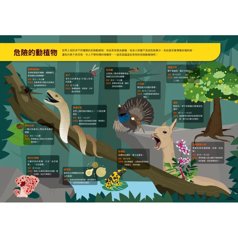 漫畫大英百科【生物地科18】：瀕危的動植物