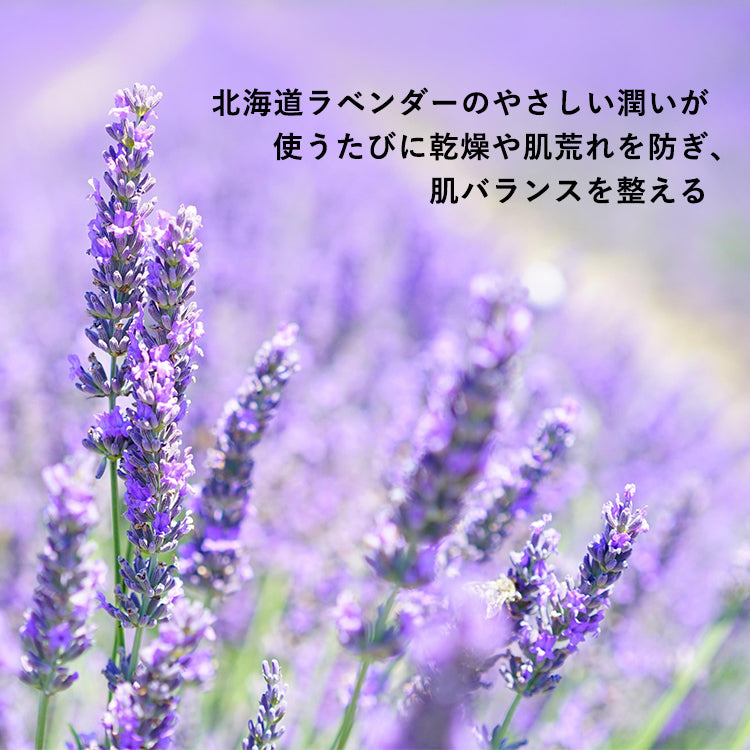 【✨️日本 🇯🇵 ICOR Lavender Facial Toner 薰衣草保濕化妝水 ✨️】 50ml    