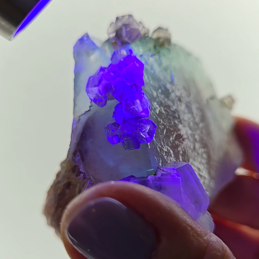 Red phantom fluorite with columnar UV calcite - FL232