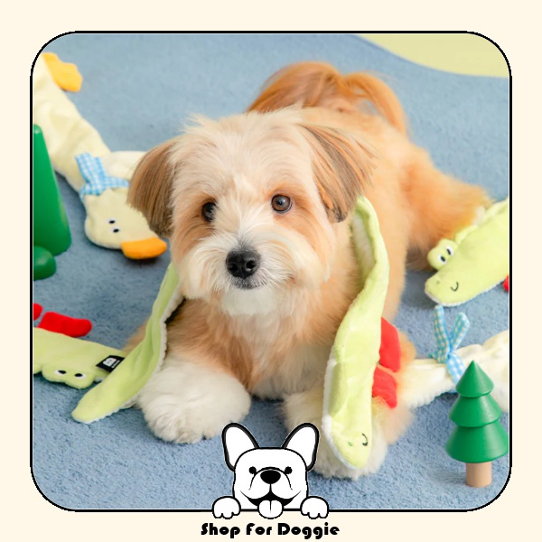 韓國 Bite Me Long Longs拖拉玩具