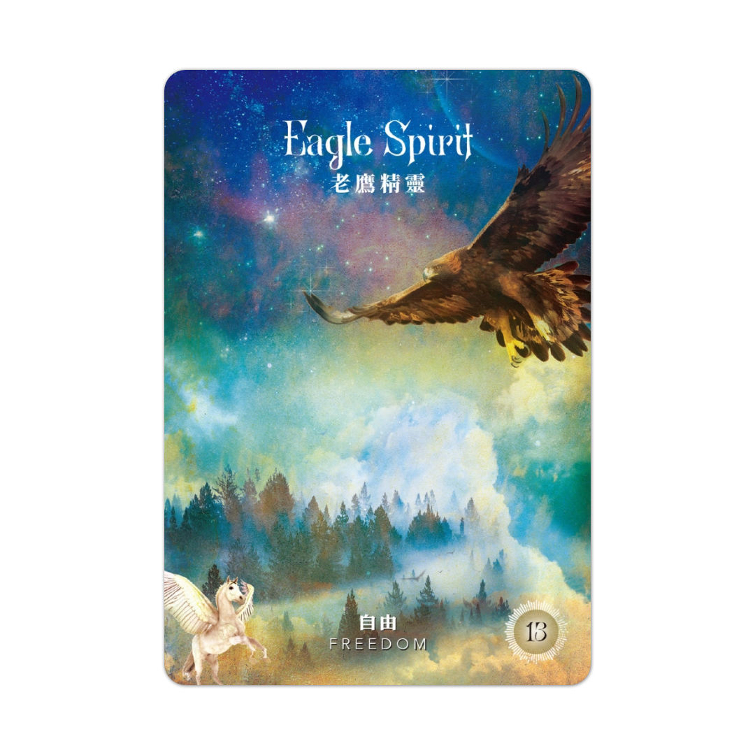 神聖森林神諭卡䌓體中文版