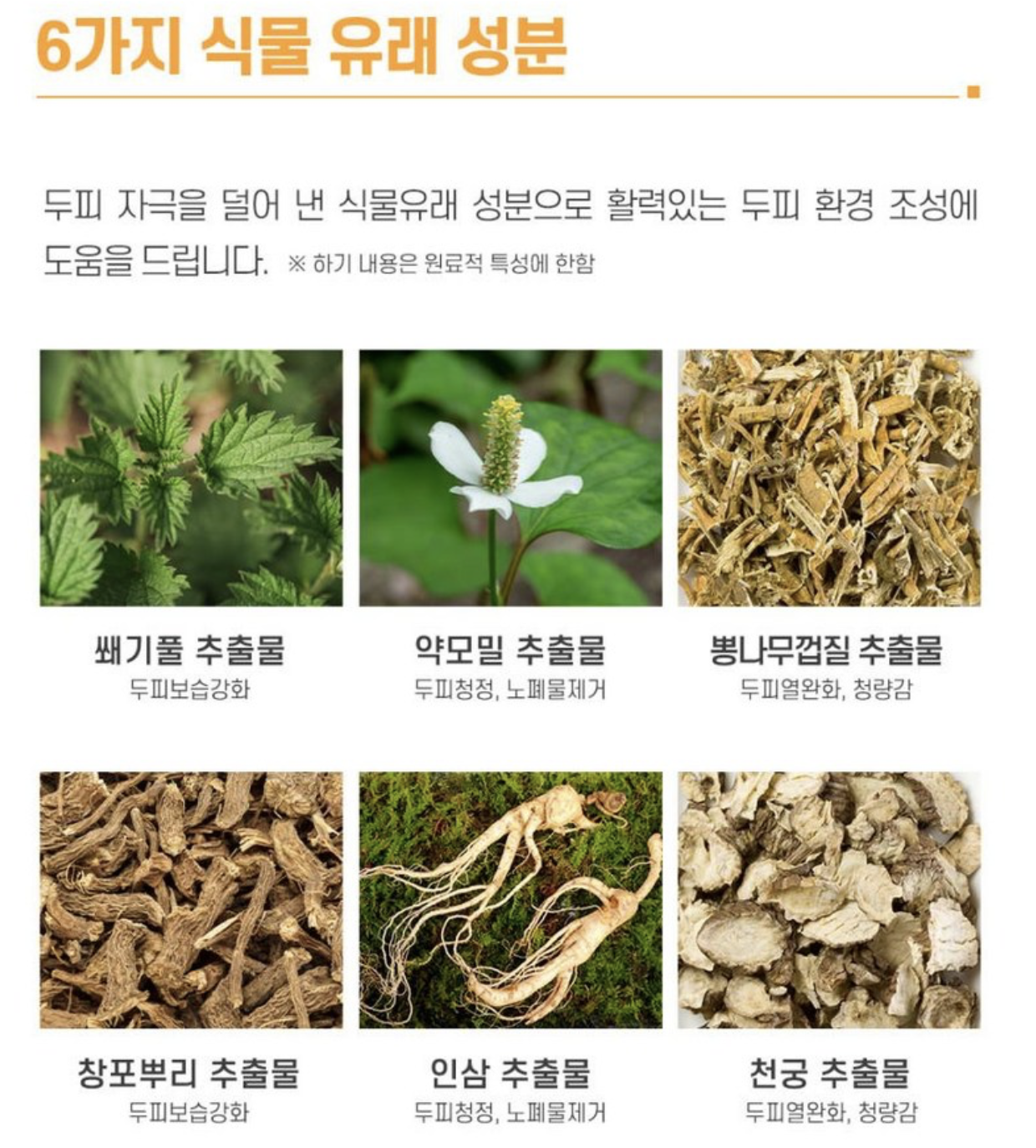 醫學生髮品牌｜韓國  Dr.Graft 植髮皇 生髮防脫 修護 洗髮水 / 精華 ｜Anti-hair Loss & Care Shampoo Tonic 