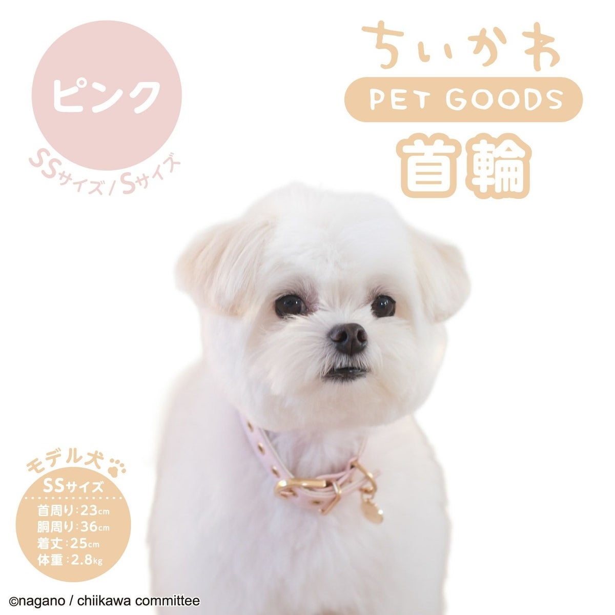 🌸 【預訂】Chiikawa 小型犬用 頸圈(合皮)