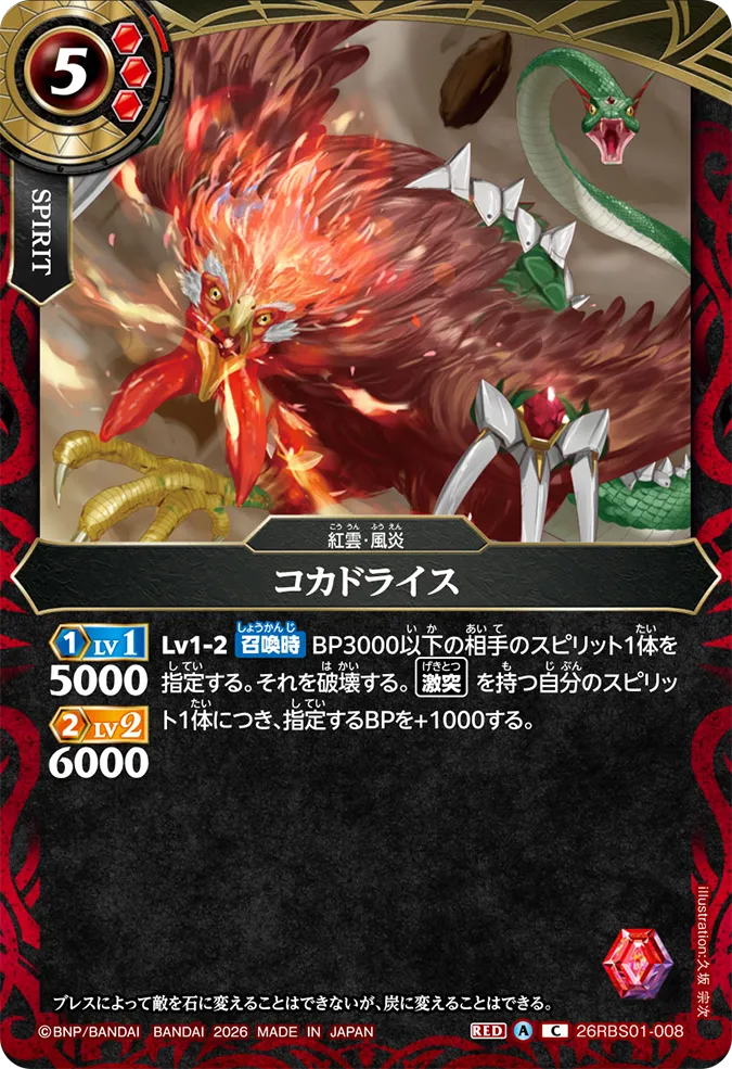 [BS] 26RBS01-008 コカドライス C