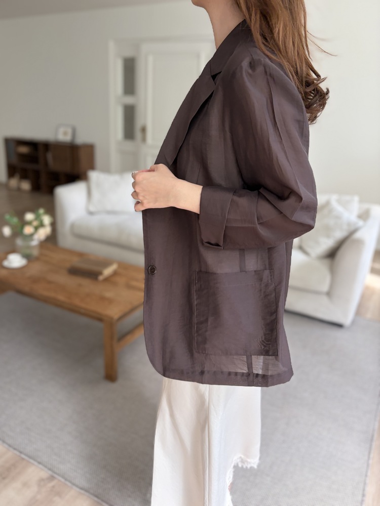 The Fine Silky Blazer (Brown)