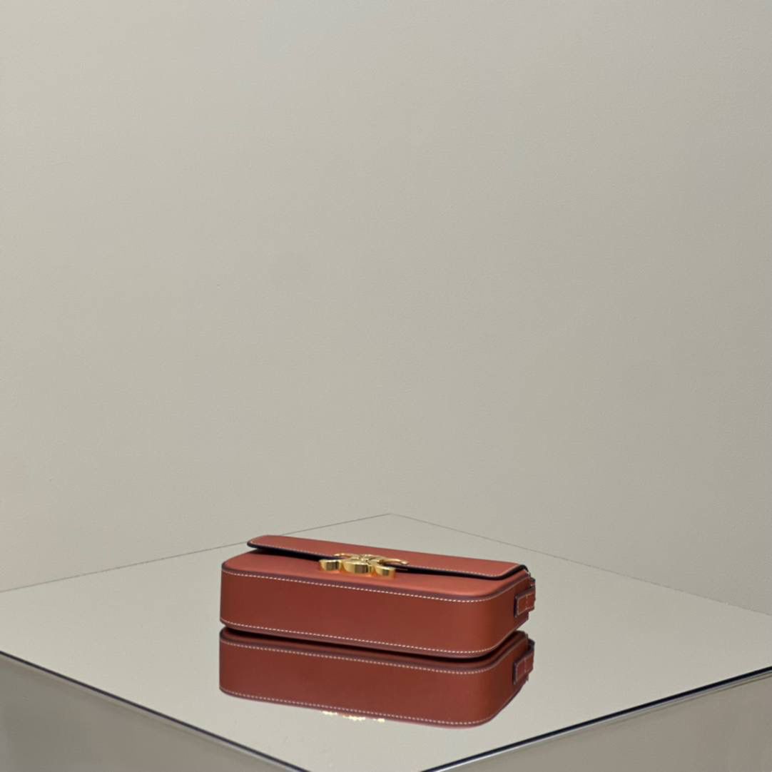 🔥大货实拍图 𝗖𝗘𝗟𝗜𝗡𝗘 ♥ 𝗧𝗥𝗜𝗢𝗠𝗣𝗛𝗘 𝗦𝗛𝗢𝗨𝗟𝗗𝗘𝗥 𝗕𝗔𝗚 型号：194143 尺寸：20*10*4cm